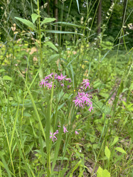 Similar image 22074020