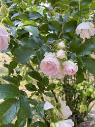 Similar image 22074021