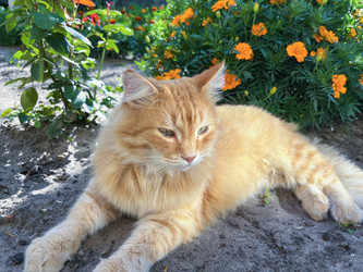 Similar image 22074022