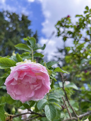 Similar image 22074023