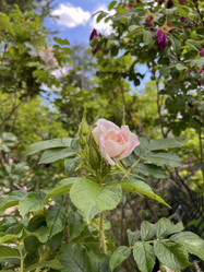 Similar image 22074025