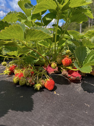 Similar image 22074026