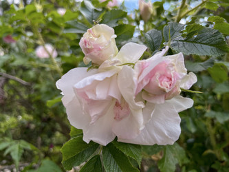 Similar image 22074027