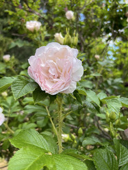 Similar image 22074031