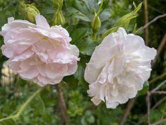 Similar image 22074033