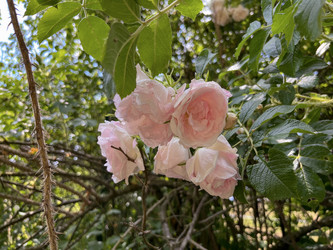 Similar image 22074035