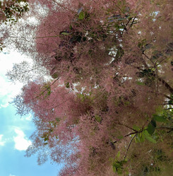 Similar image 22074036