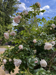 Similar image 22074038