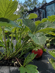 Similar image 22074039