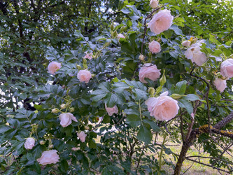 Similar image 22074041