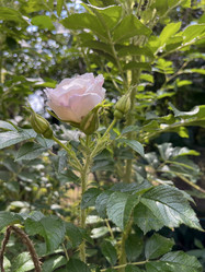 Similar image 22070072