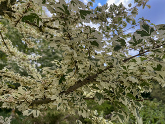 Similar image 22070073