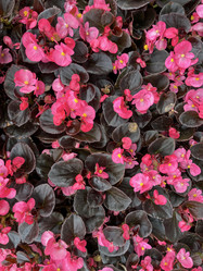 Similar image 22070090