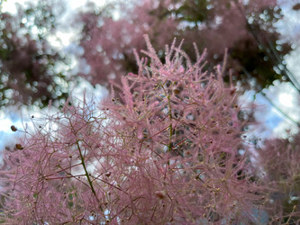 Similar image 22070091