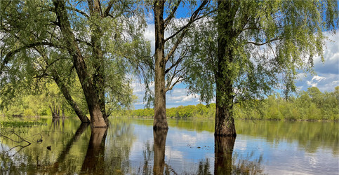 Similar image 22072530