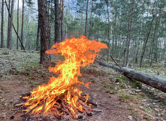 Similar image 22072531