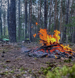 Similar image 22072532