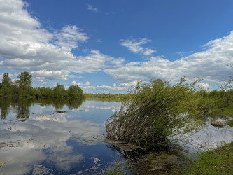 Similar image 22072533