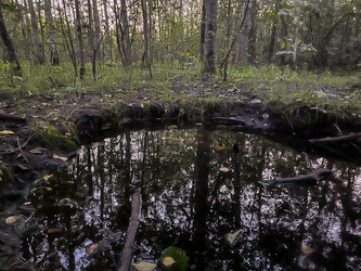 Similar image 22072534