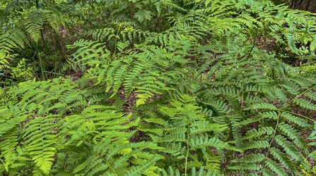 Similar image 22072535