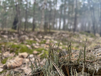 Similar image 22072538