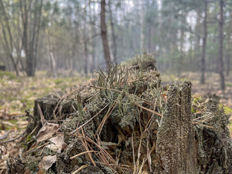 Similar image 22072539