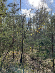 Similar image 22072541