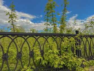 Similar image 22073755