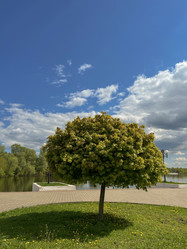 Similar image 22073843