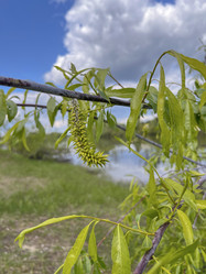 Similar image 22073845