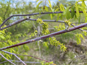 Similar image 22073847