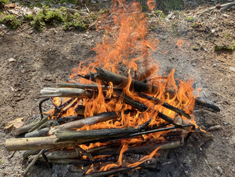 Similar image 22073849