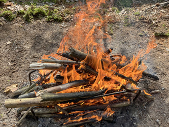 Similar image 22073852