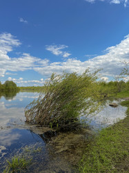 Similar image 22073854