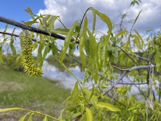 Similar image 22073856