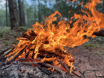 Similar image 22074042