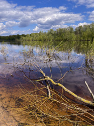 Similar image 22074043