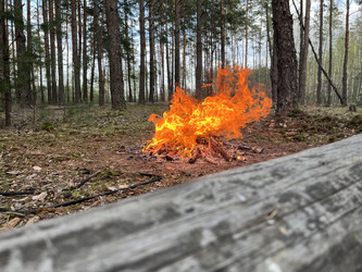 Similar image 22074045