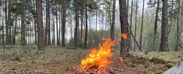 Similar image 22074046