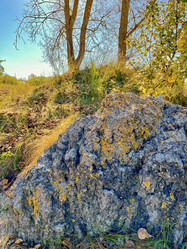 Similar image 22074047