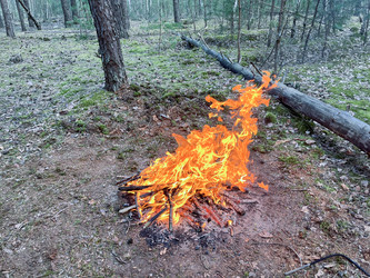 Similar image 22074048