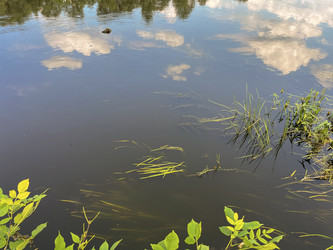 Similar image 22074049