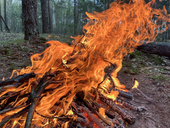 Similar image 22074050