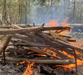 Similar image 22074054