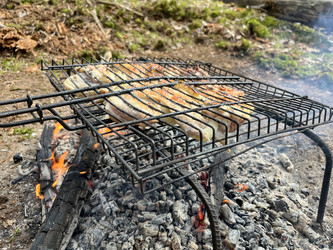 Similar image 22074059