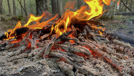 Similar image 22070074