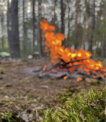 Similar image 22070093