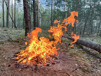 Similar image 22070120