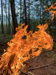 Similar image 22070123