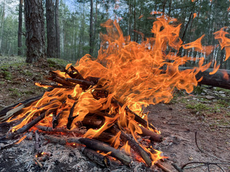 Similar image 22070124